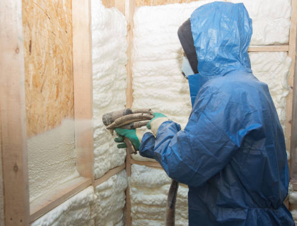 Best Eco-Friendly or Green Insulation Solutions  in Deer Park, IL